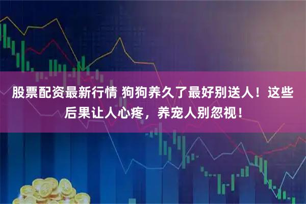 股票配资最新行情 狗狗养久了最好别送人！这些后果让人心疼，养宠人别忽视！
