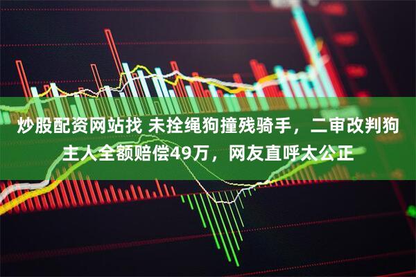 炒股配资网站找 未拴绳狗撞残骑手，二审改判狗主人全额赔偿49万，网友直呼太公正