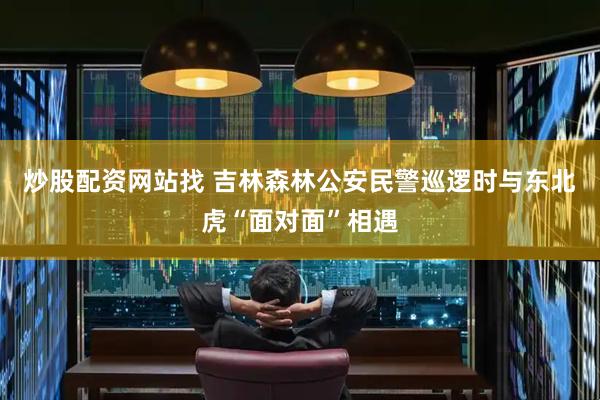 炒股配资网站找 吉林森林公安民警巡逻时与东北虎“面对面”相遇